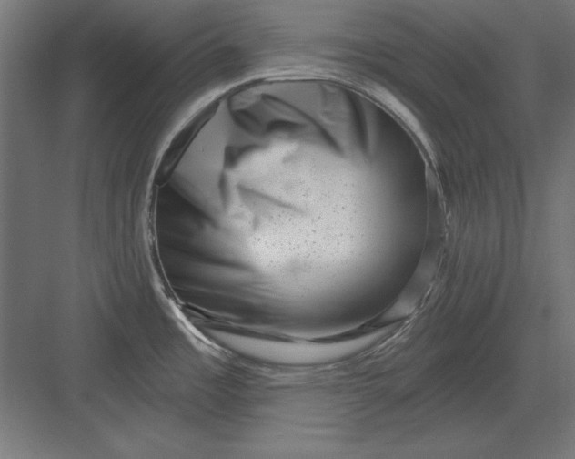 X0000082931485200702152134