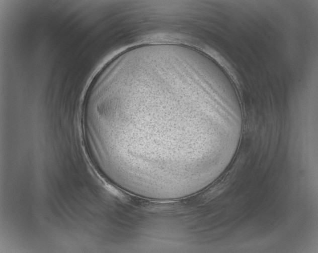 X0000082931486200702152134