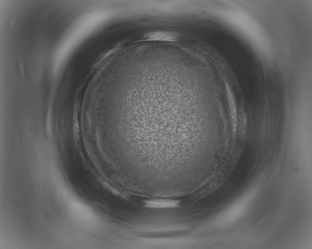 X0000082931487200702152134