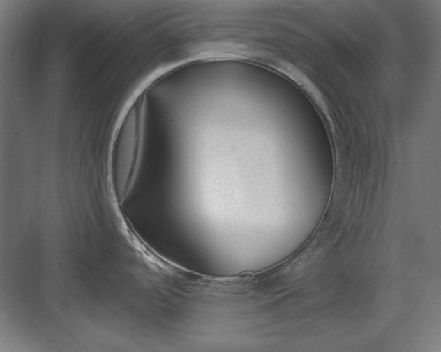 X0000082931488200702152134