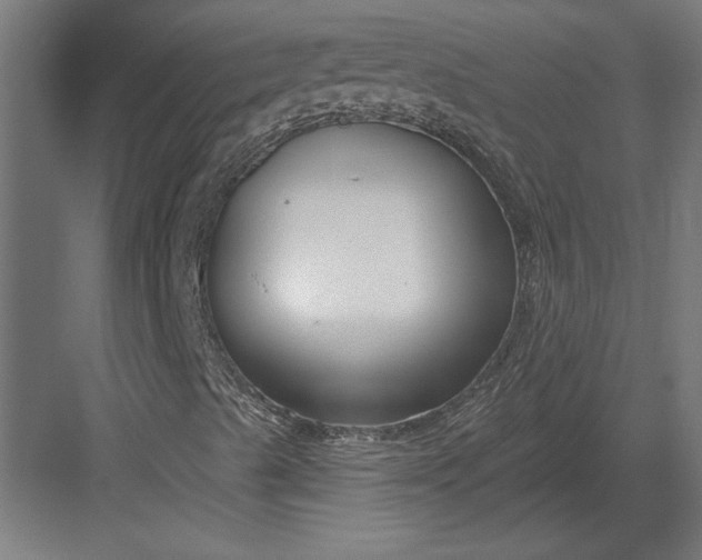 X0000082931489200702152134