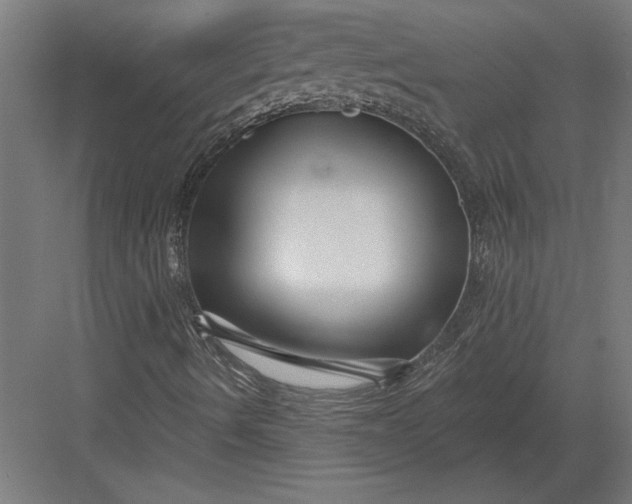 X0000082931490200702152134