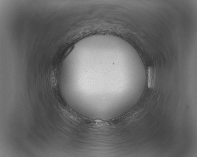 X0000082931491200702152134