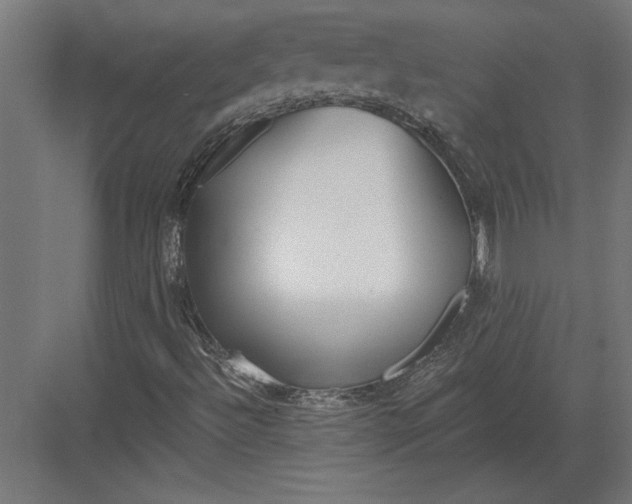 X0000082931492200702152134