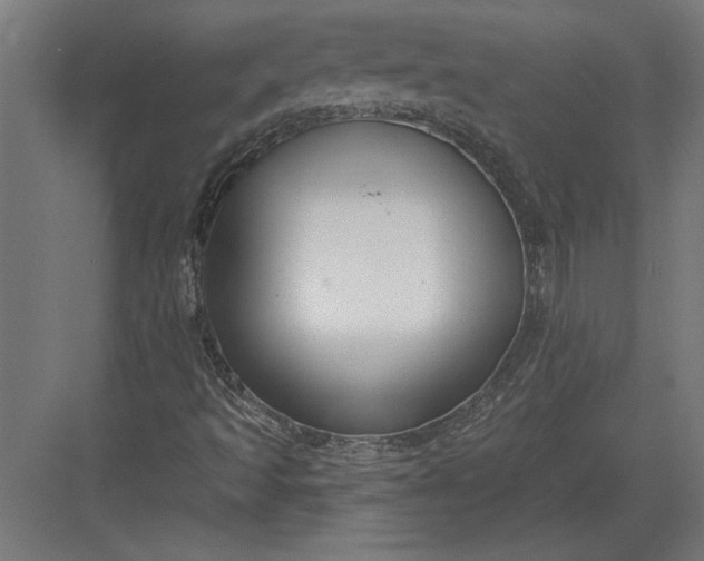 X0000082931493200702152134