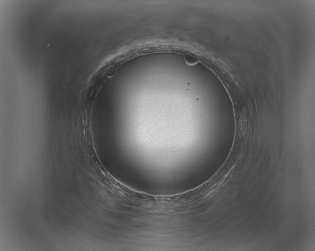 X0000082931494200702152134