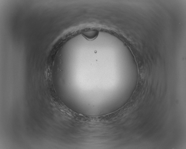 X0000082931495200702152134