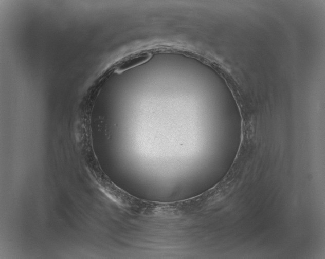 X0000082931496200702152134