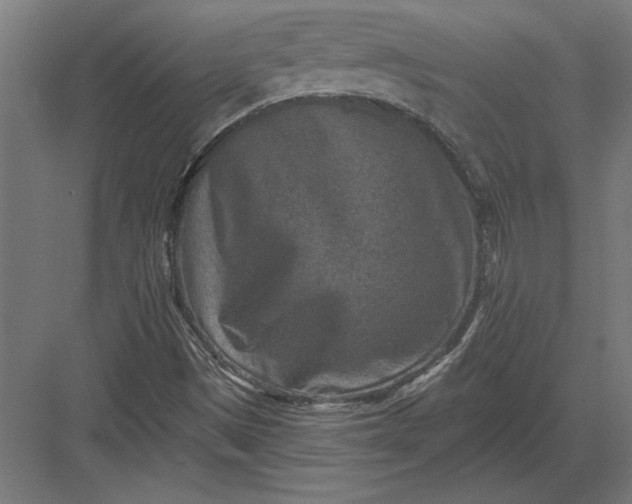 X0000082931497200702152134