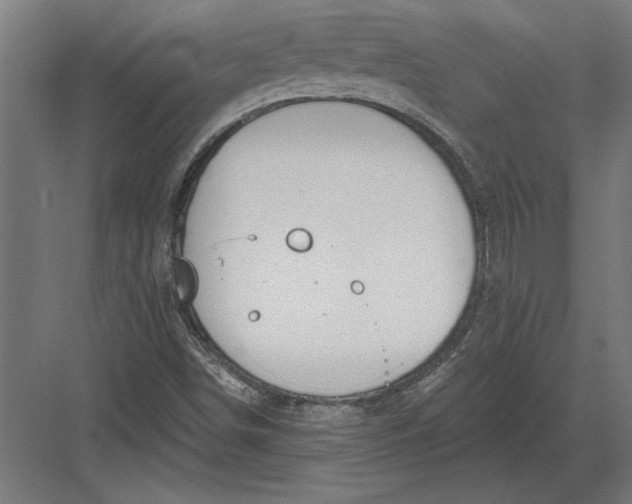 X0000082931498200702152134