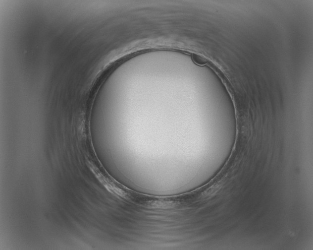 X0000082931499200702152134