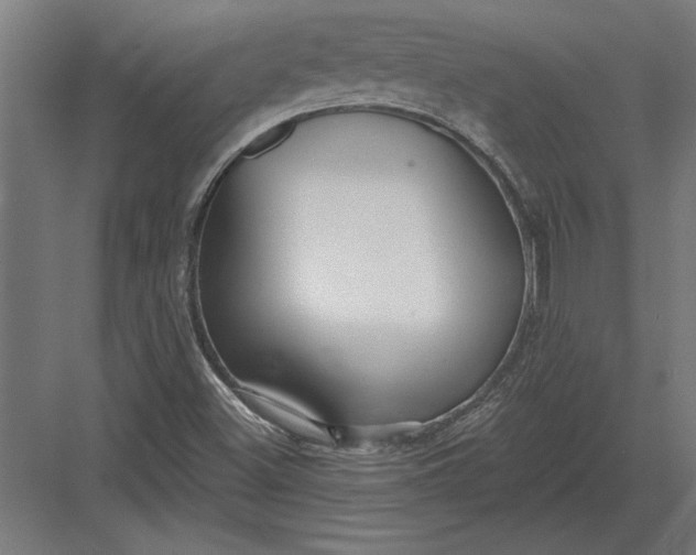 X0000082931500200702152134