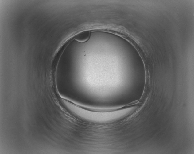 X0000082931501200702152134