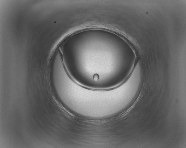 X0000082931502200702152134