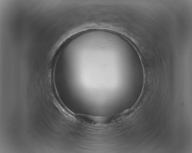 X0000082931503200702152134