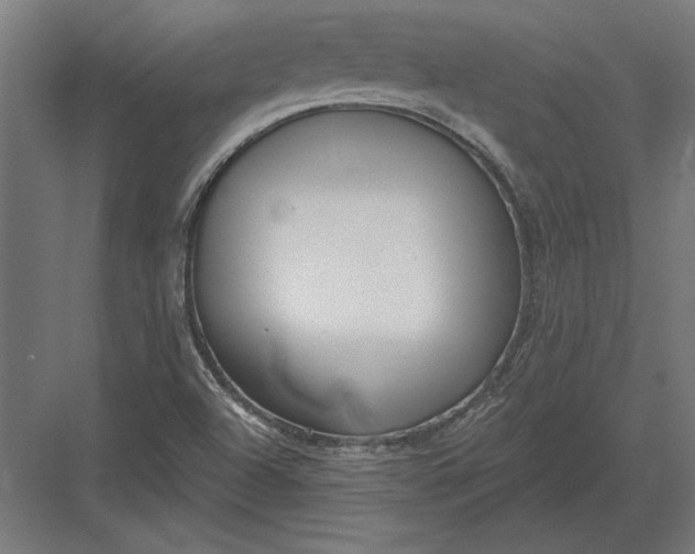 X0000082931504200702152134