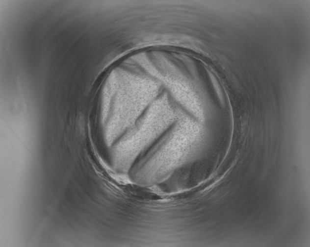 X0000082931505200702152134