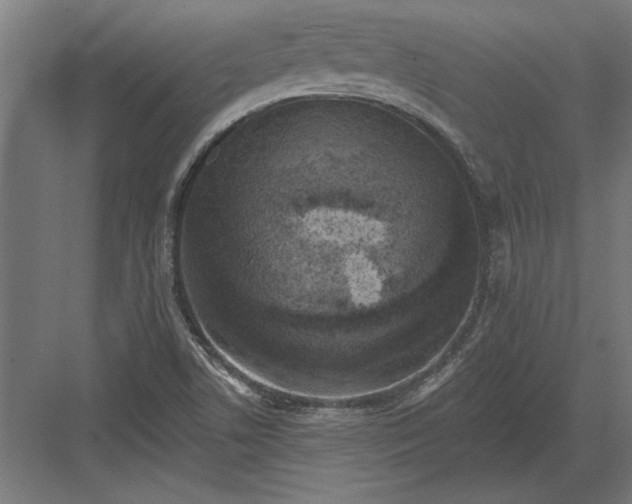 X0000082931506200702152134