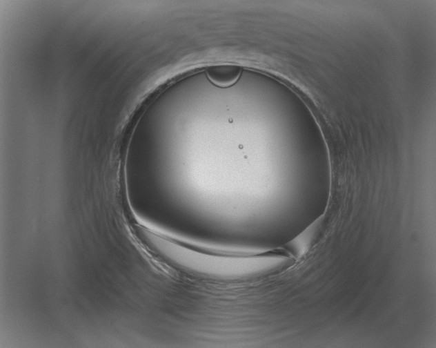 X0000082931507200702152134