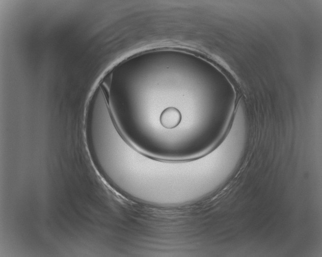 X0000082931508200702152134