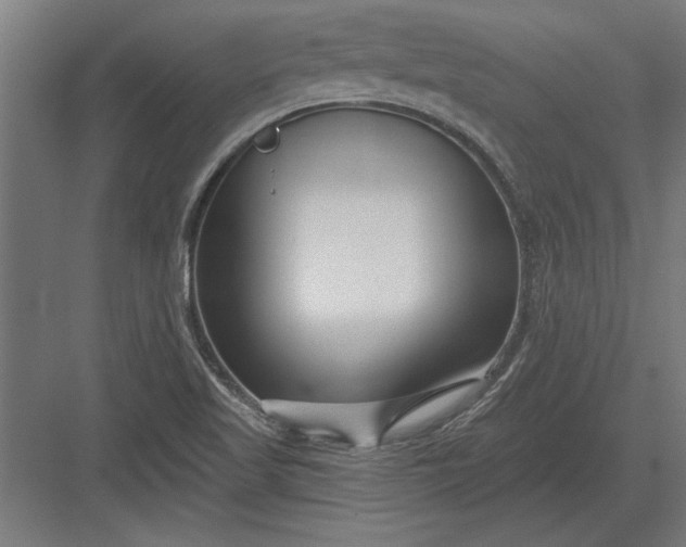 X0000082931509200702152134