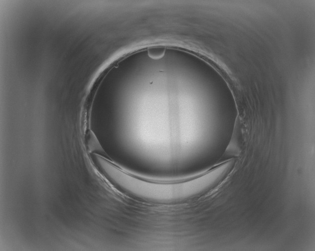 X0000082931510200702152134