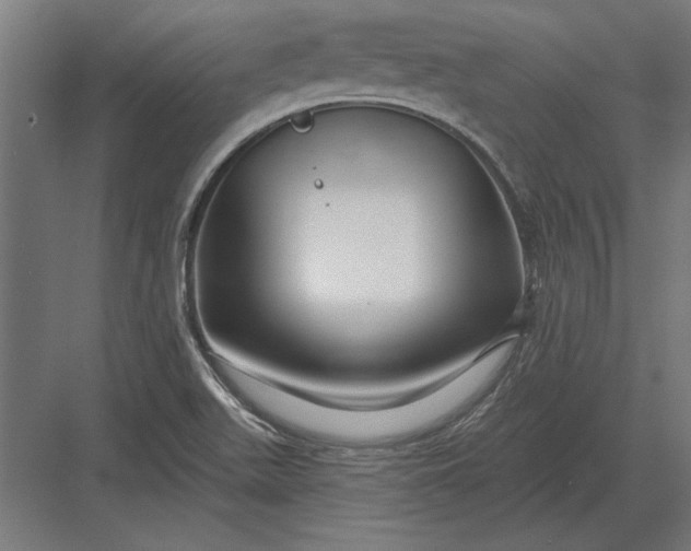 X0000082931511200702152134