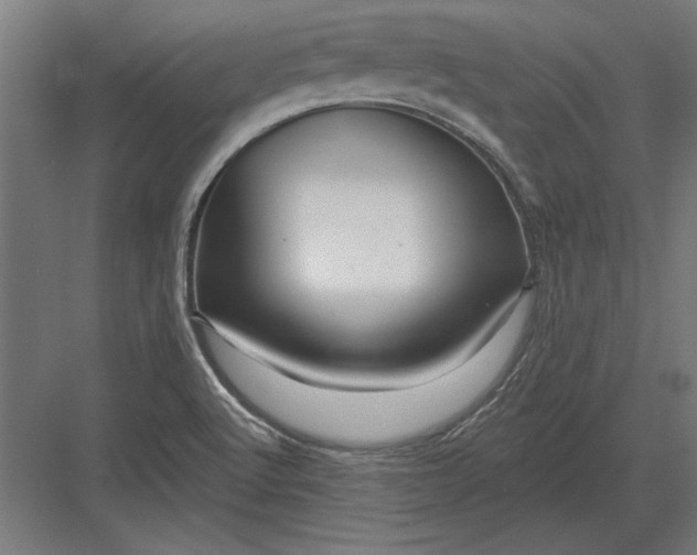 X0000082931512200702152134