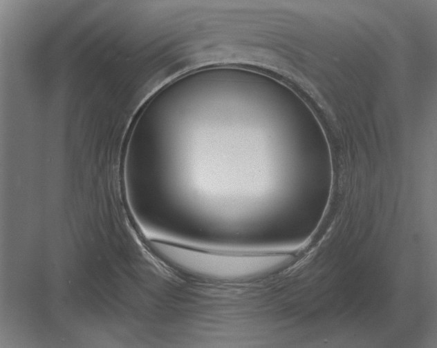 X0000082931513200702152134