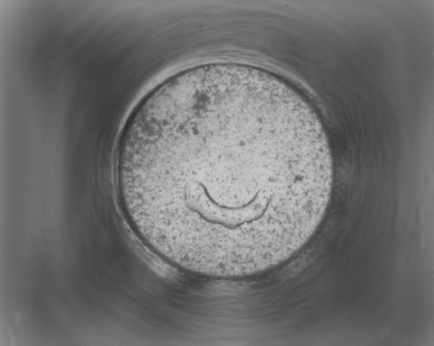X0000082931514200702152134