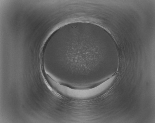 X0000082931515200702152134