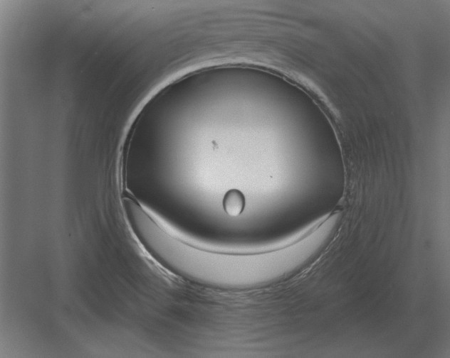 X0000082931516200702152134