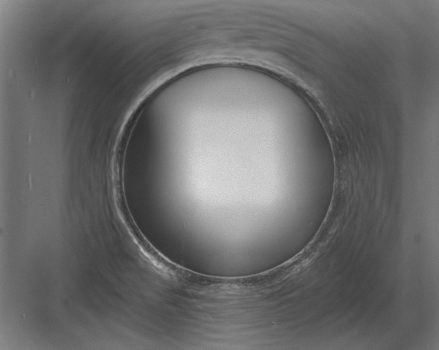 X0000082931517200702152134