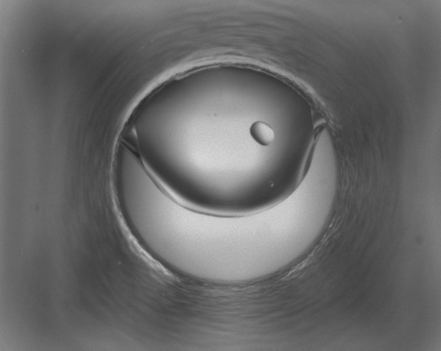 X0000082931518200702152134