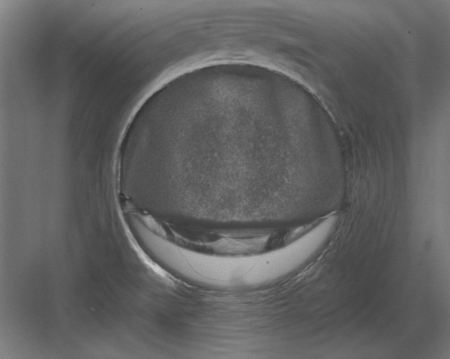 X0000082931519200702152134