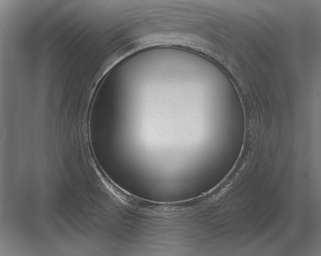 X0000082931521200702152134