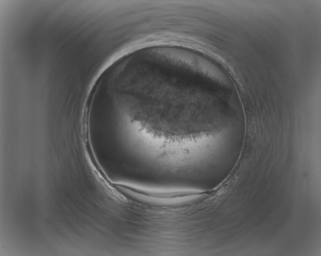 X0000082931522200702152134