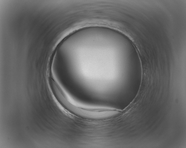 X0000082931523200702152134