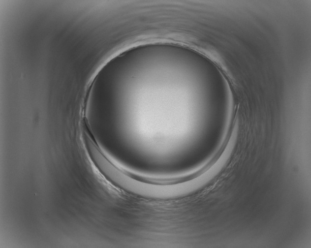 X0000082931524200702152134