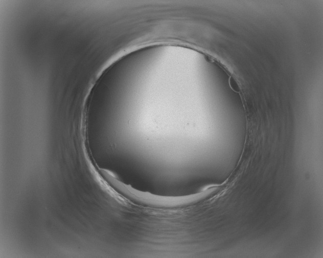 X0000082931526200702152134