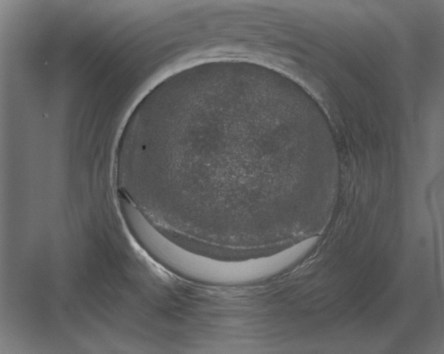 X0000082931527200702152134