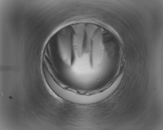 X0000082931528200702152134