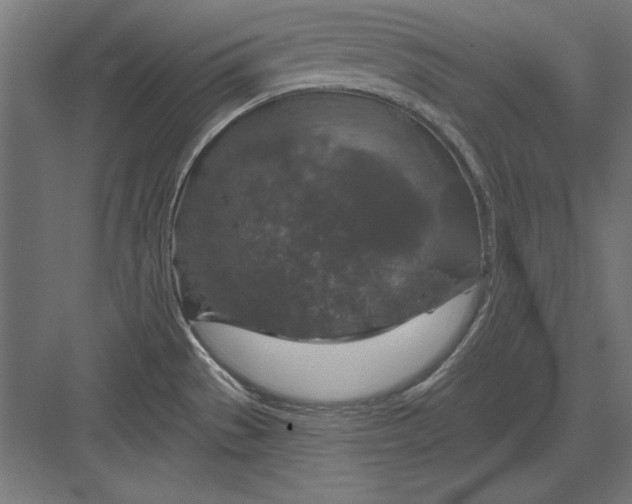 X0000082931529200702152134