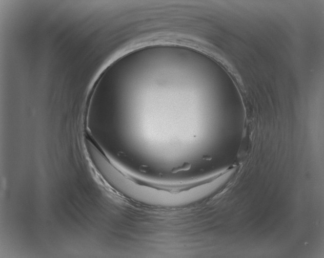 X0000082931530200702152134