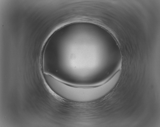 X0000082931531200702152134