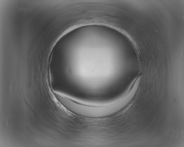 X0000082931534200702152134