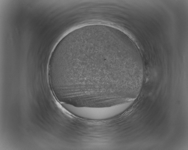 X0000082931535200702152134