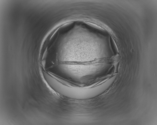 X0000082931536200702152134