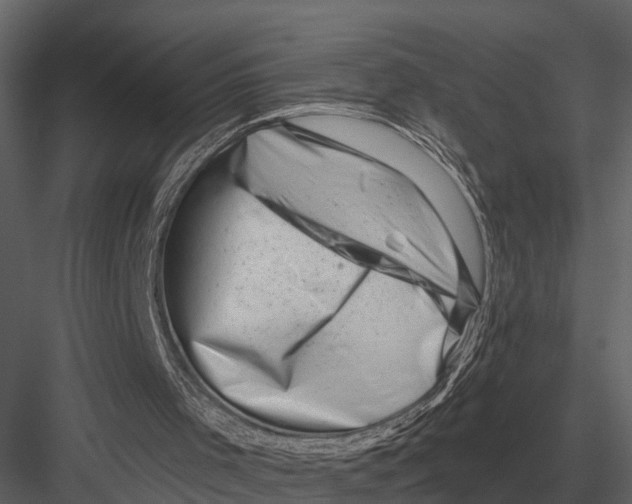 X0000082930001200702222232