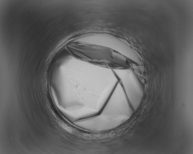 X0000082930005200702222232